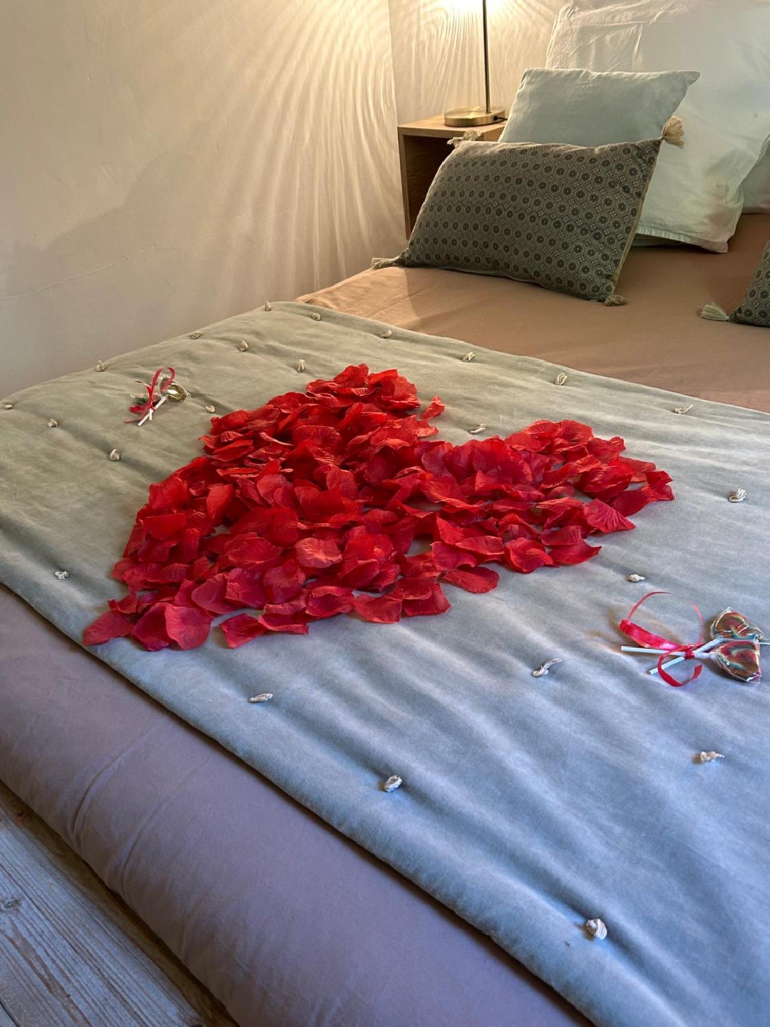 Cocon Cosy Romantique, Jacuzzi Piscine Apartment Puget